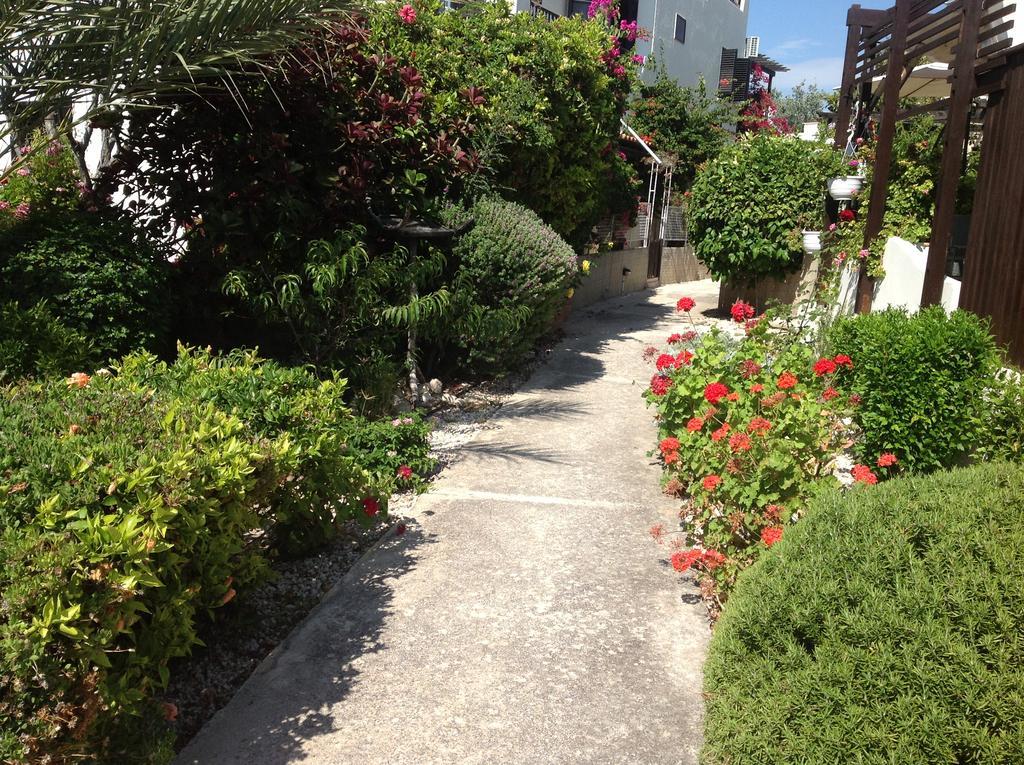 Paphos Townhouse Villa Esterno foto